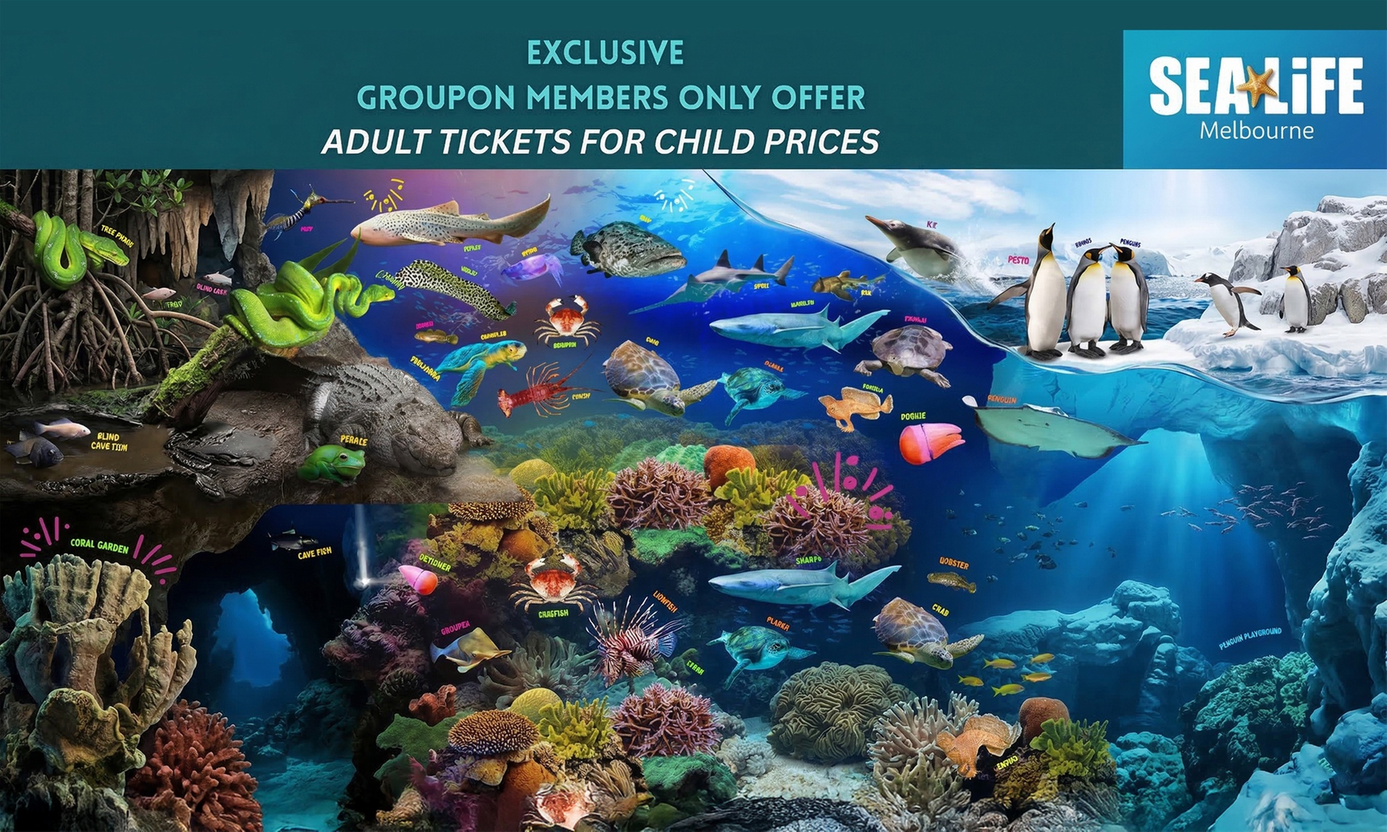 Sea Life Melbourne Aquarium Adult Entry At Child Prices -