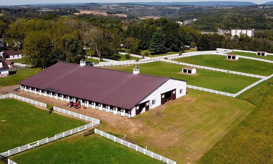 Image 5: One or Two 30-Minute Horseback Riding/Driving Lessons