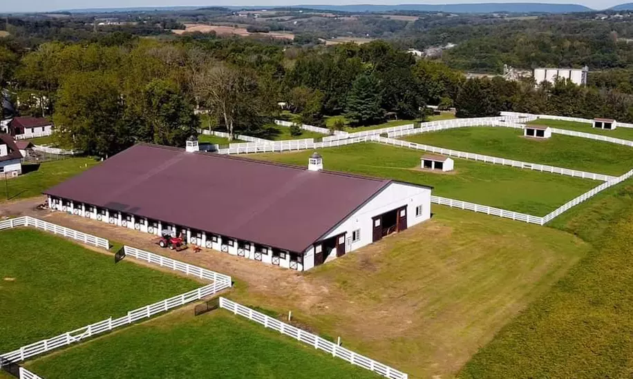 One or Two 30-Minute Horseback Riding/Driving Lessons