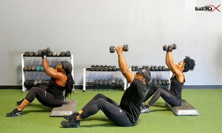 Open-Pass Group Class - EB30X Fitness Studio