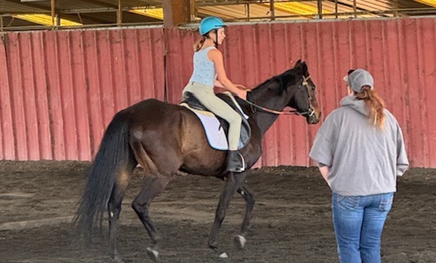 Image 4: 1,2 3, or 4 Horseback Riding Lessons for One Hour Each Sessions