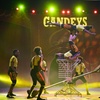 Image 5: Grandstand Ticket with Brochure to Gandeys Circus from Apr 7 to Jun 27