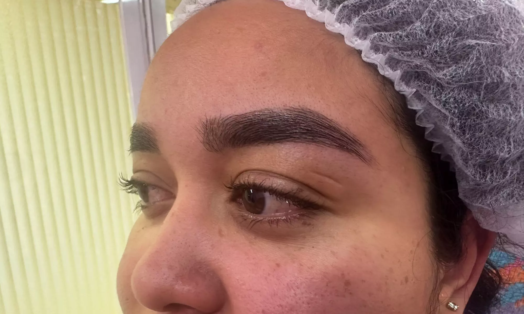 Cejas impecables con laminado, depilación con hilo y tinte con henna
