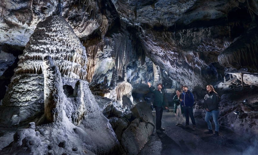 Image 9: Aventurez-vous au cœur de la Grotte de Han et de son parc animalier