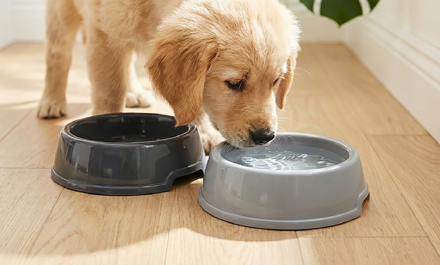 Image 3: Complete hondenverzorgingsset