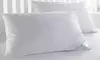 Beauty Sleep Down Alternative Pillows (2 Pack)