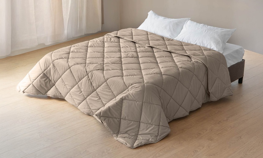 Image 21: Trapunta invernale matrimoniale in velluto