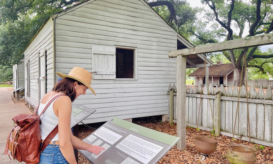 Image 7: New Orleans City, Cemetery, Garden District, Swamp & Plantation Tours