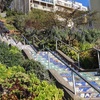 Image 12: SF's WildSide, Redwood & Hike or Golden Gate Park's Hidden Gems Tour