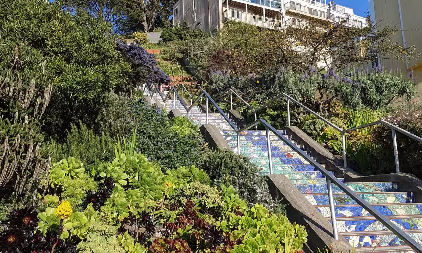 SF's WildSide, Redwood & Hike or Golden Gate Park's Hidden Gems Tour