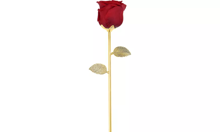 Image 5: Rosa eterna natural sobre un tallo de metal SC Crystal
