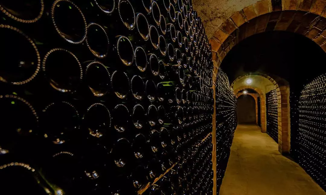 ¡Brindemos con cava! Visita guiada con cata de 4 cavas y maridaje