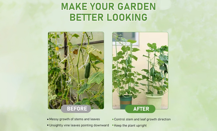 Image 4: 5Pcs Frog Plant Support Stands