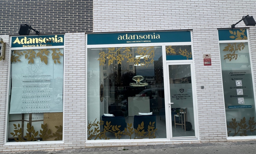 Image 5: 1 o 2 sesiones de dermapen facial con exosomas en rostro completo 