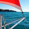 Image 1: Four-Hour Catamaran Cruise with Lunch for Up to 20 People