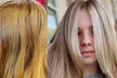Get Women’s single process, Haircut or Half a Head of Highlight & Blow Dry - Up to 30% Off - Second Medium