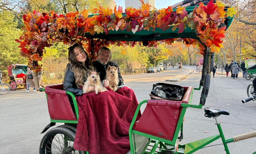 Image 2: Central Park Pedicab Tour: Classic, Deluxe or Elite PediCab Tour