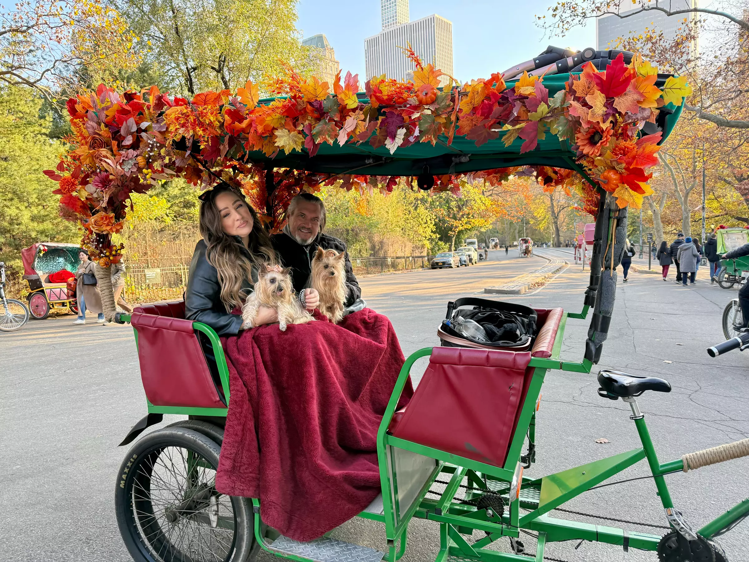 Central Park Pedicab Tour: Classic, Deluxe or Elite PediCab Tour