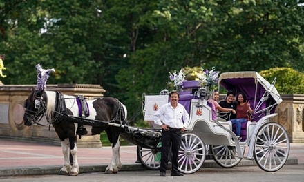 One 60-Minute VIP Horse-Drawn Carriage Tour - New York City Rides in New York, NY