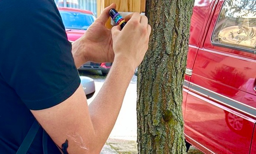 Image 7: 1 oder 2 Tickets für eine spannende Schnitzeljagd in Berlin-Neukölln