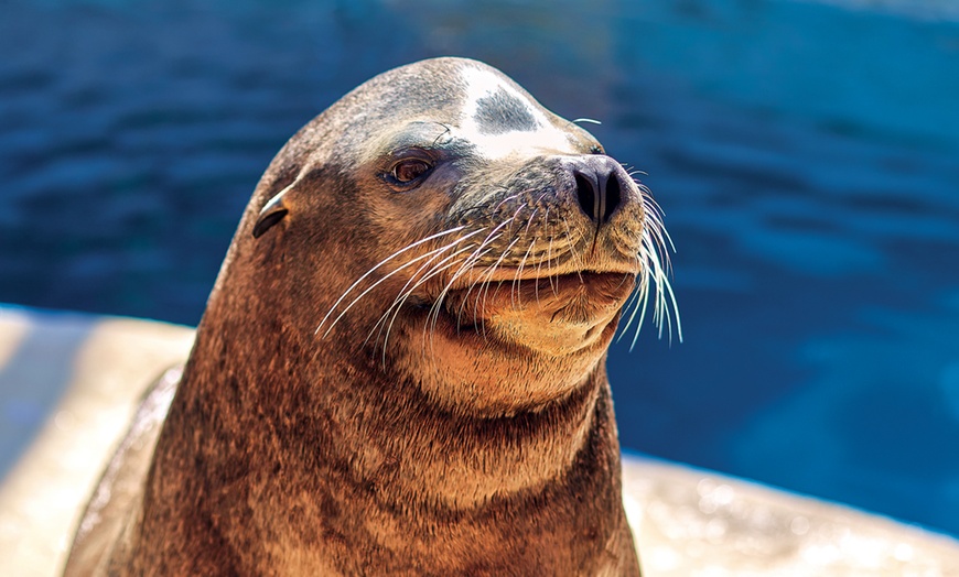 Image 14: Diversión en familia con una entrada a MundoMar y/o Aqualandia