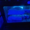Image 4: Restore and Relax with a 60-Min Swedish or Deep Tissue Massage Package