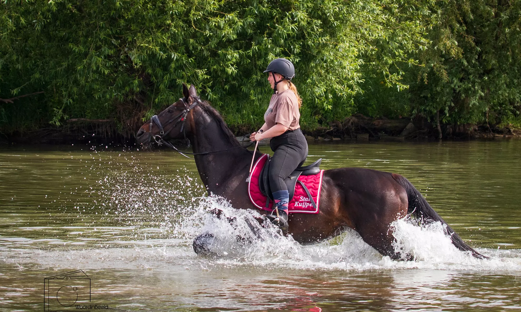 Avontuurlijk paardrijden met bosrit of waterrit incl. begeleiding