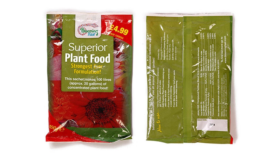 Image 10: Summer Flowering Bulb Collection