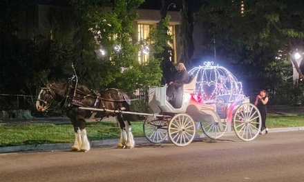  Additional Guest Ticket (Valid Only with 4-Person Package) - Denver Fairytail Carriage Company, Brighton, CO