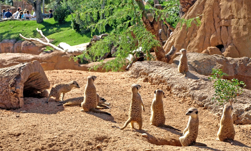 Image 3: ¡Descubre la selva en Valencia! Entrada para adulto o niño en Bioparc