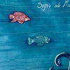 Image 9: Famiglie/Gruppi: Cinque Terre fino a 3 notti