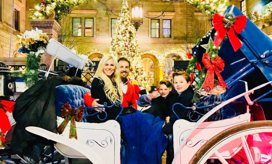Image 3: Private Christmas Lights Carriage Ride – New York City
