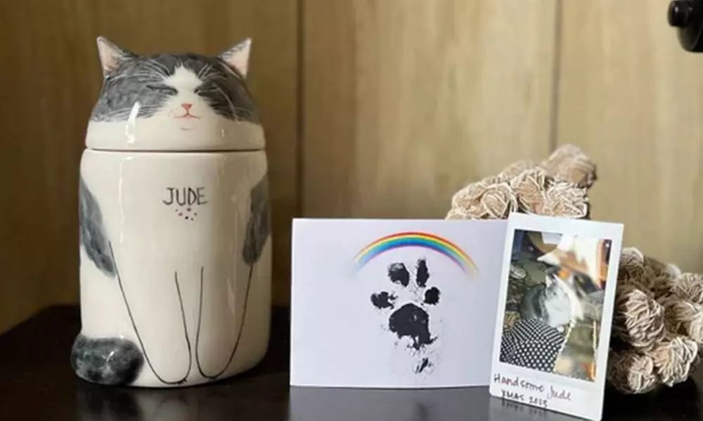 Handgemaakte en gepersonaliseerde keramieken urn voor je huisdier