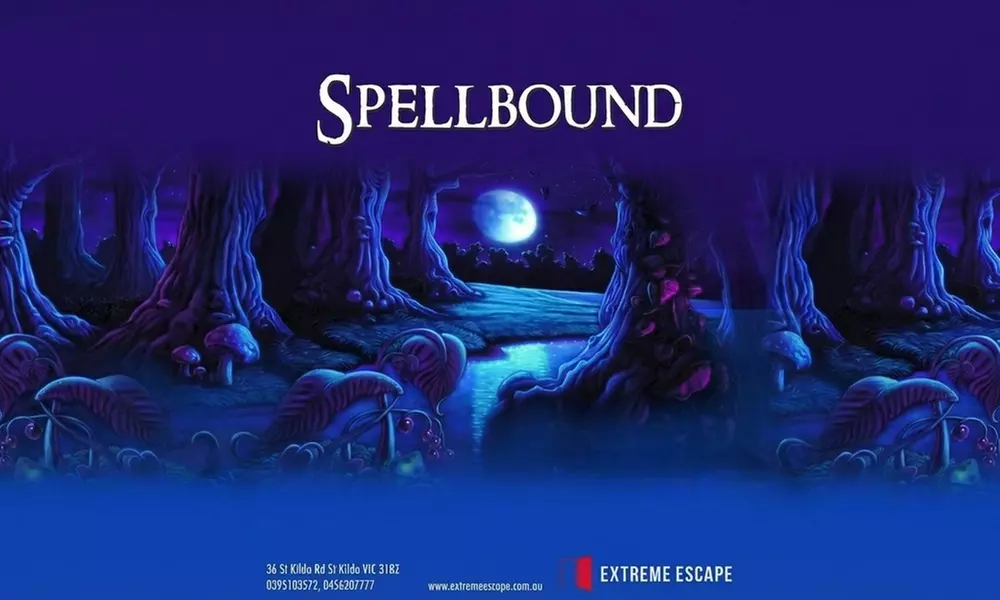 Escape Room Experiences for 2 to 7 Players