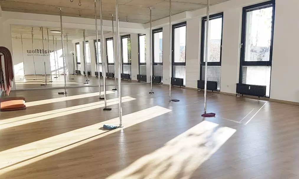 60 Min. Probe-Training für Pole Dance, Aerial Hoop oder Silk