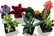 LEGO Creator Botanical Collection Succulents 10309 - Image 2