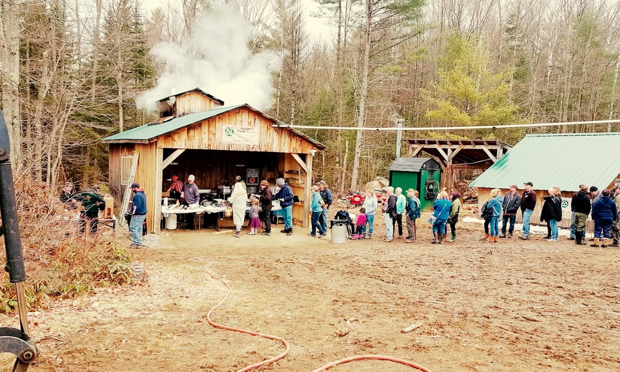 Explore Maple Syrup Making on a Farm Tour for 1, 2, or 4 People
