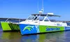 Experience Catamaran Dolphin Cruise with Southern Shores Cruises (Up to 21% Off)