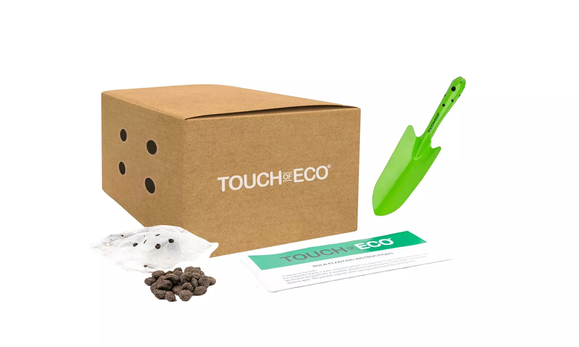 45 or 75 Touch Of ECO Colorful Anemone Blanda Windflower Bulbs