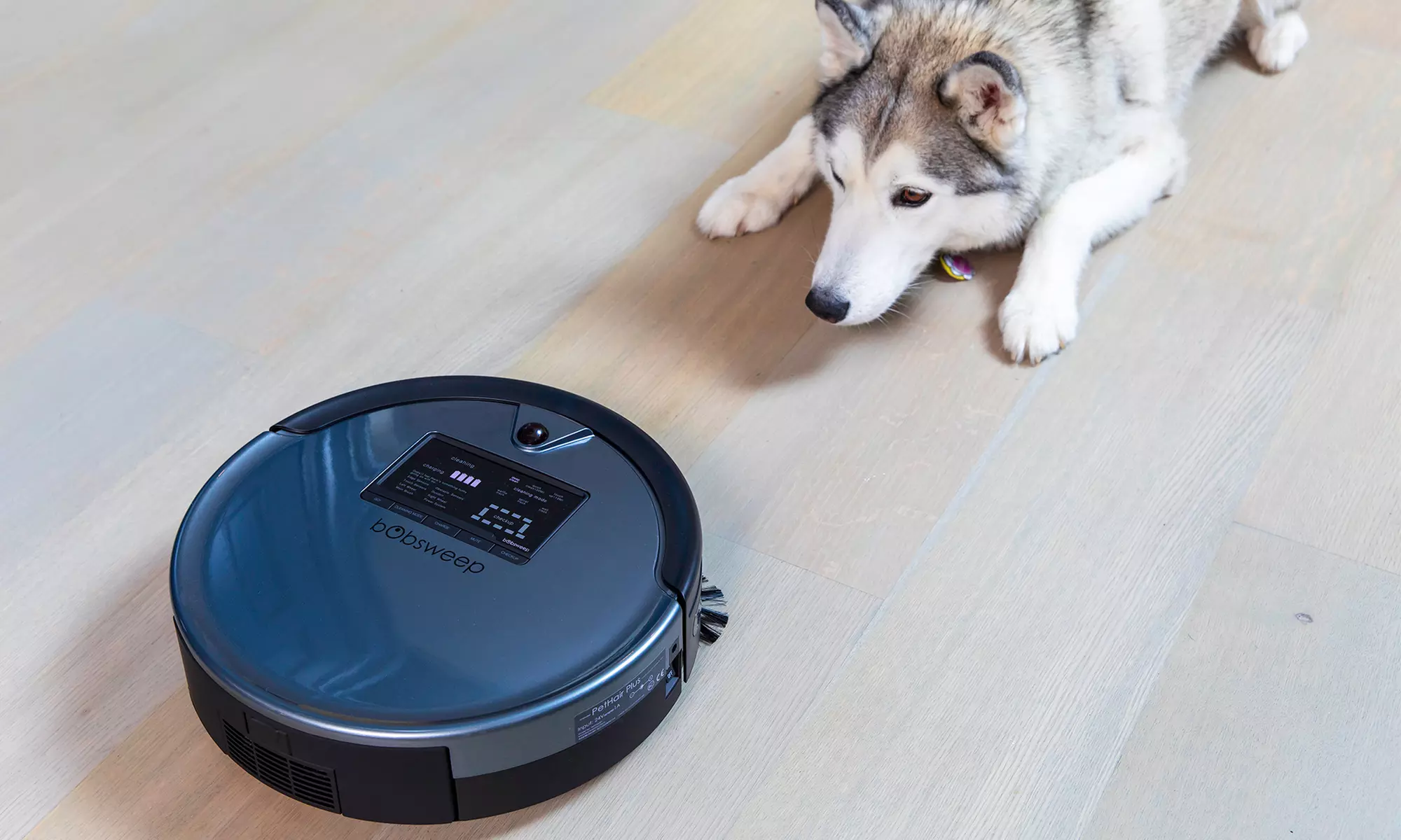 bObsweep Junior, Standard, PetHair, or PetHair Plus Robotic Vacuum and Mop - Primary Image