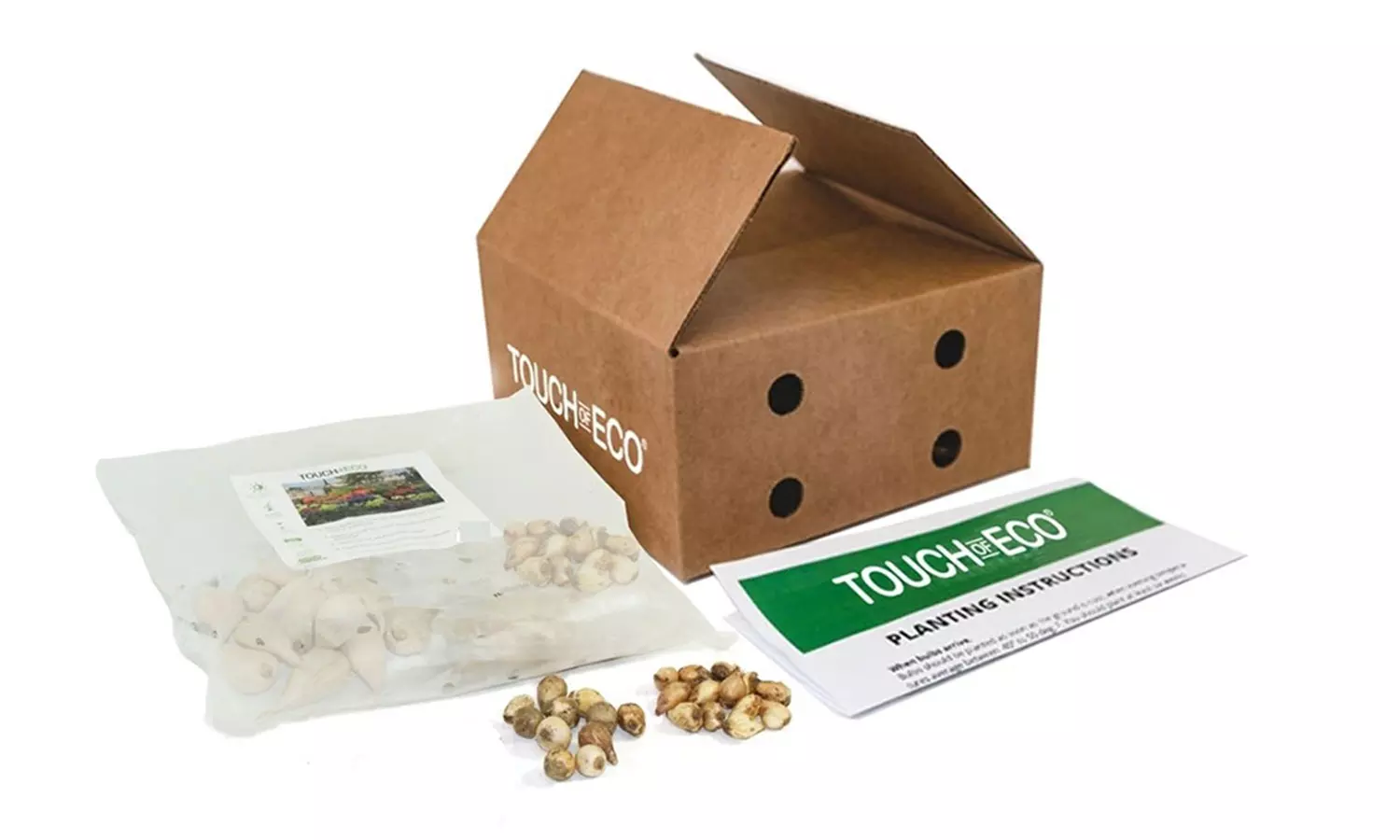 Gentle Glory of the Snow Flowers (15 , 30 , & 60 Bulbs with Planting Tool)