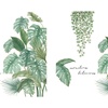 Image 5: One or Two Packs of Tropical Leaves Wall Stickers