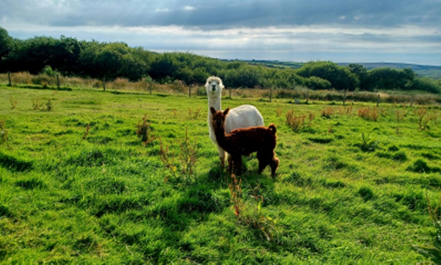 Image 3: Discover Fun with Forest/Farm School for Two or Four Children 