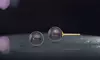 Paris Jewelry 18k Yellow Gold Plated 4 MM Black Pearl Stud Earrings