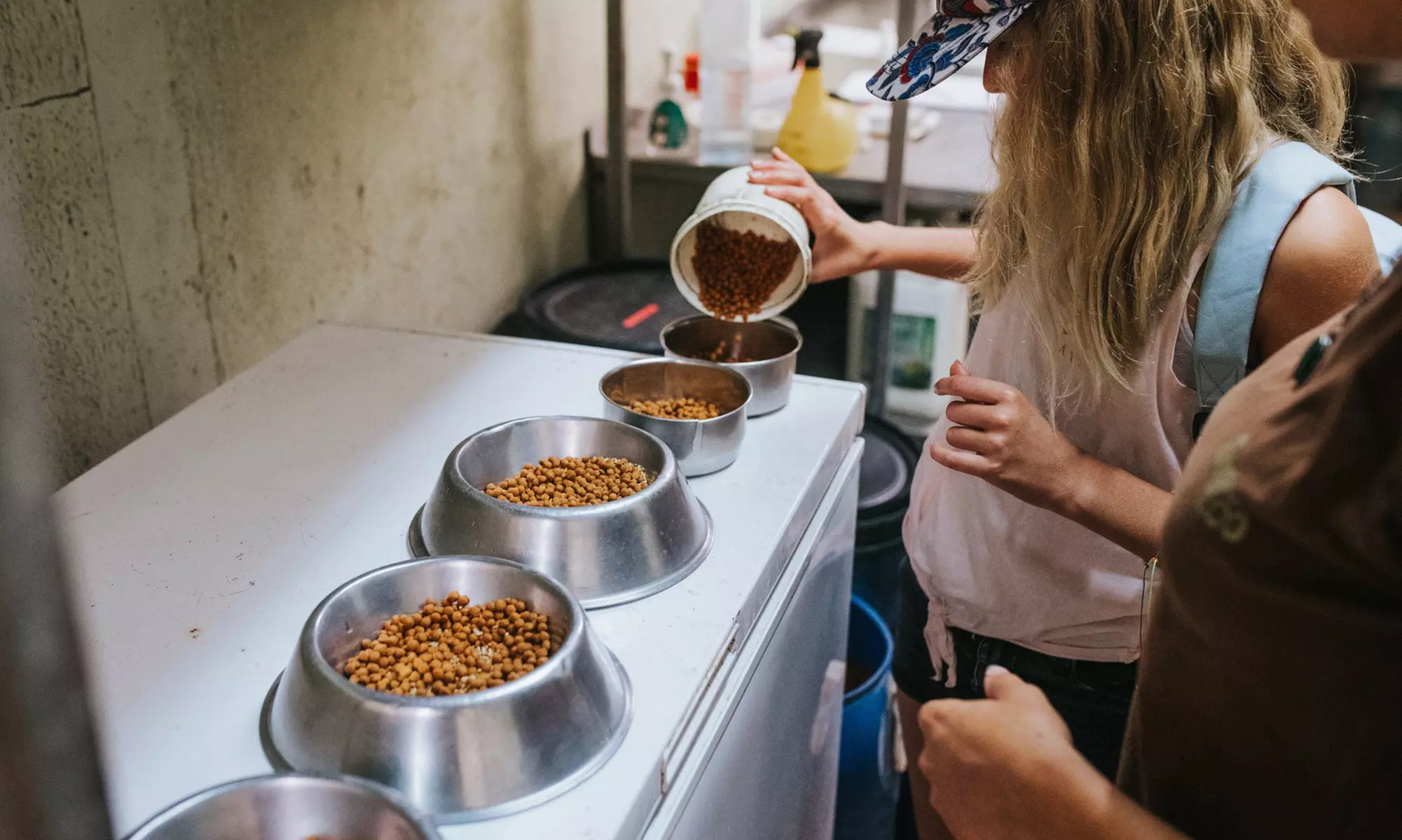 Vivre les missions d’un soigneur au Touroparc Zoo