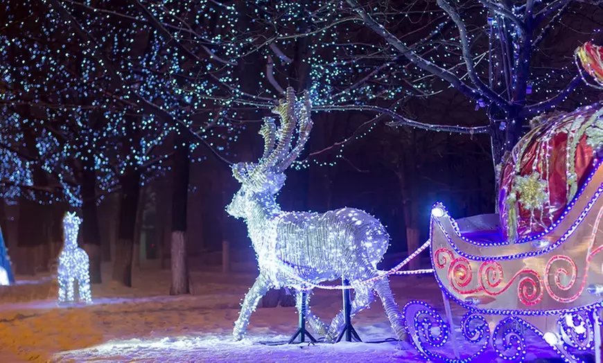 Admission to Winter Wonders Drive-Thru (November 18, 2022 through January 1, 2023) Up to 50% Off - Primary Image