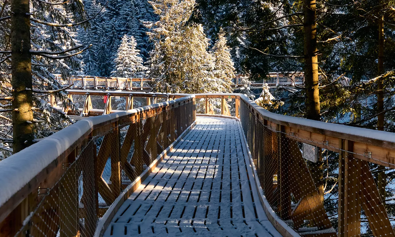 Odkryj magię natury w Centrum Przyrodniczo-Edukacyjnym Brama w Gorce