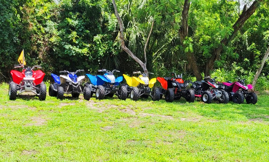 Image 1: One, Two, Three, Four, Five, or Six Rider ATV Rental for One Hour