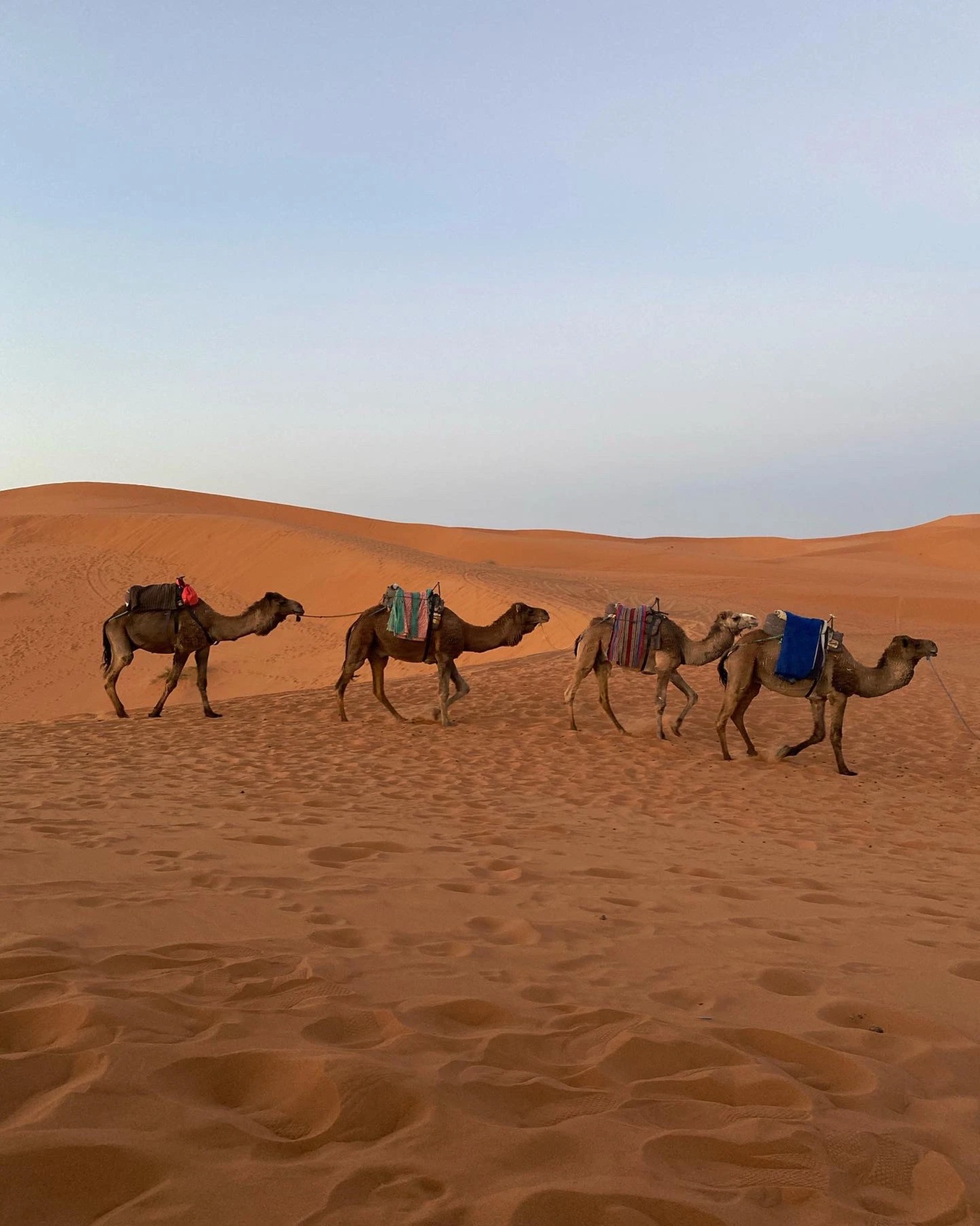 ✈ Moroccan Adventure: Road Trip + Flights, Car & Stay | Price per person, based on 2 per room | Buy 1 Voucher per person