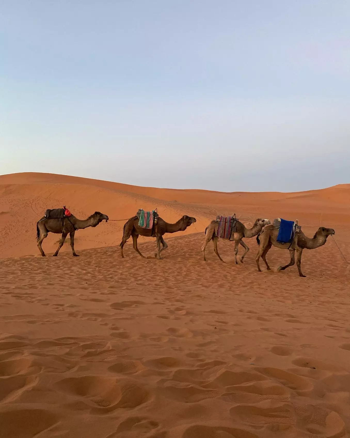 ✈ Moroccan Adventure: Road Trip + Flights, Car & Stay | Price per person, based on 2 per room | Buy 1 Voucher per person - Primary Image